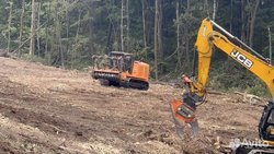  Расчистка 24/7, мульчирование от 1 Га, выкорчевка