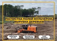Расчистка участка мульчером от 1 Га, спил деревьев