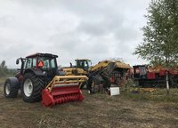 Расчистка участка мульчером от 1 Га, спил деревьев