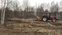 Расчистка участка мульчером от 1 Га, спил деревьев