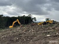 Расчистка территорий от деревьев и пней от 1 Га